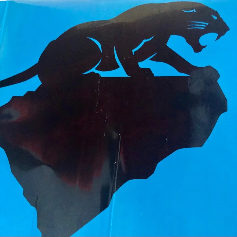 NFL carolina panthers